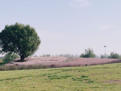 安装无
