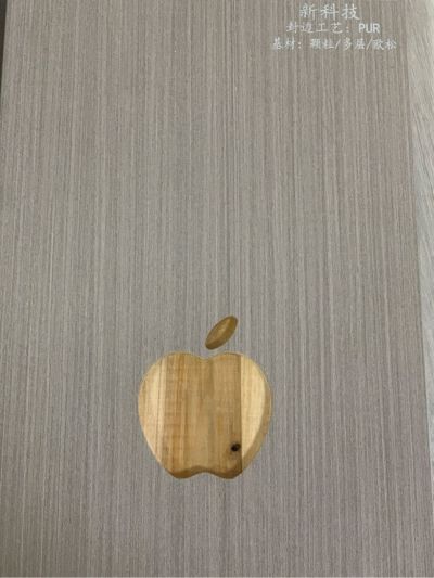 专业