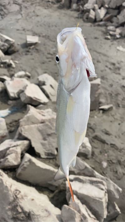 衣柜安装