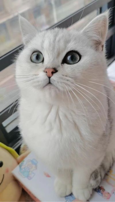 装修设计维修空调