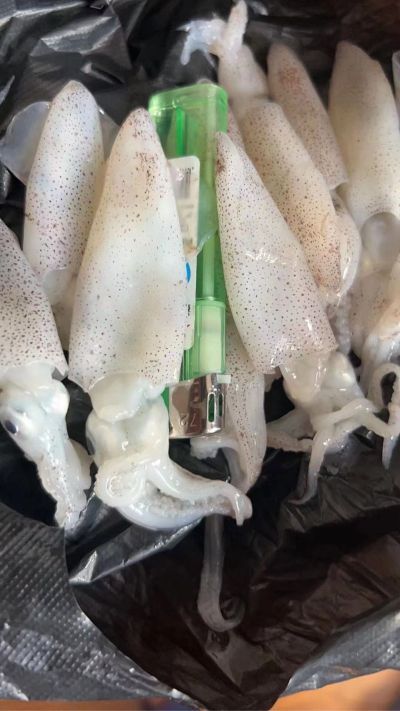 卫浴
