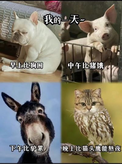 电子设备维修