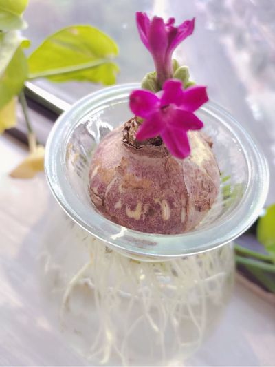 商用厨房设备