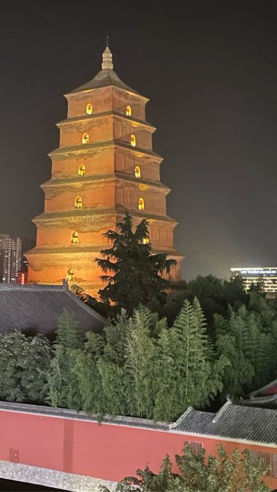 电脑手机维修监控维修网络维护打印机维修