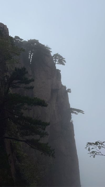 吊顶厂