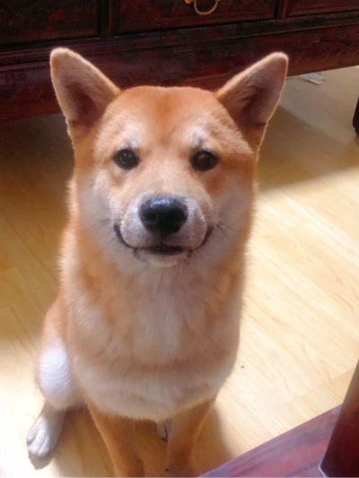 安装一个卧室门