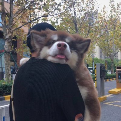 安装