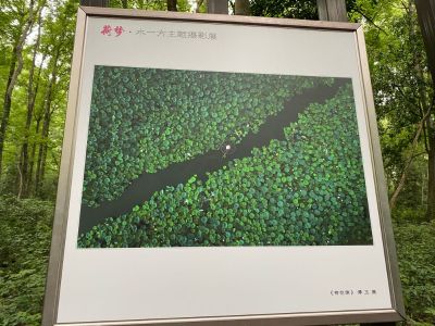 大工