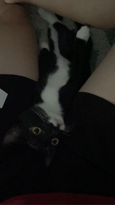 安装