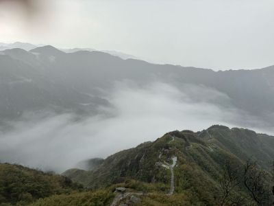 请爱我，抚摸我