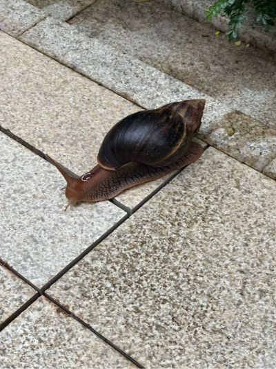 水电工