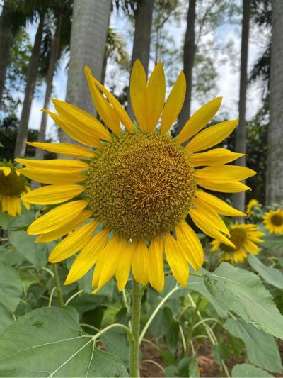 水电安装维修安装灯具