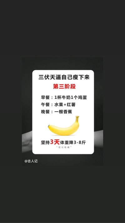 全职业