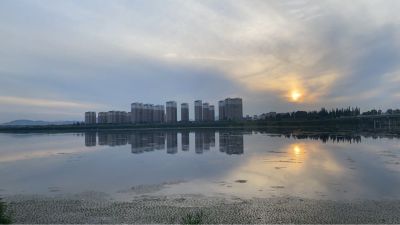 专业的