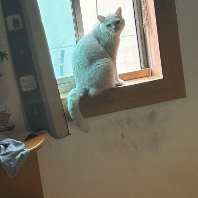 装修