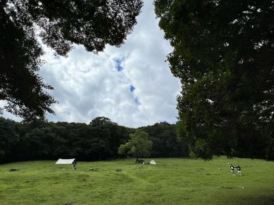 网络布线调测