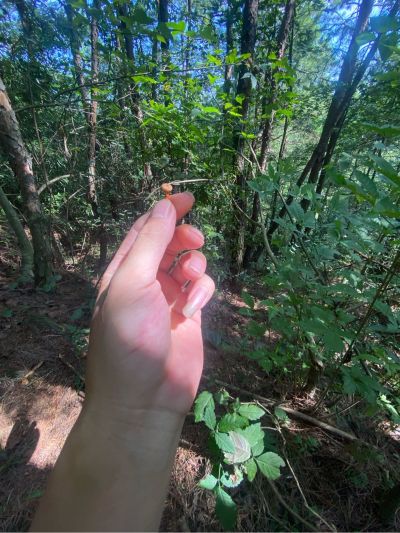 全屋定制安装