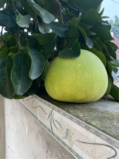 水电消防灯具洁具管线