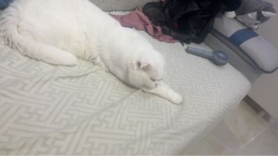 锁匠