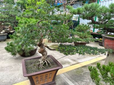 油漆工安装工