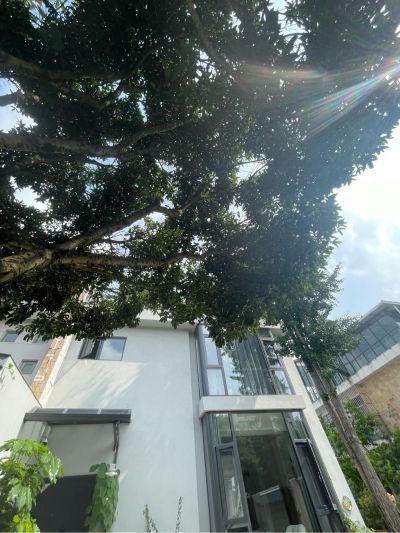 安装太阳能灯，需要在钢架打螺丝安装