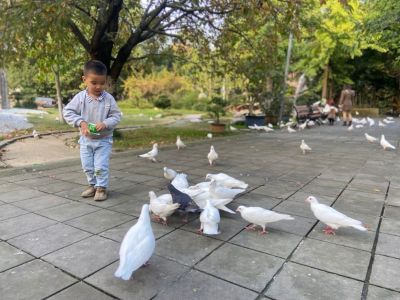 家电安装等