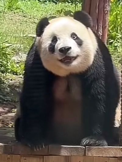 钟表更换电池