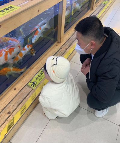 木工水暖木工装修安装