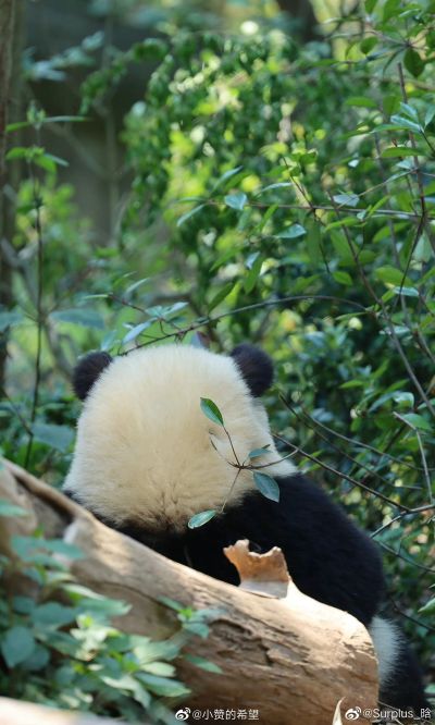 装修装修施工工程