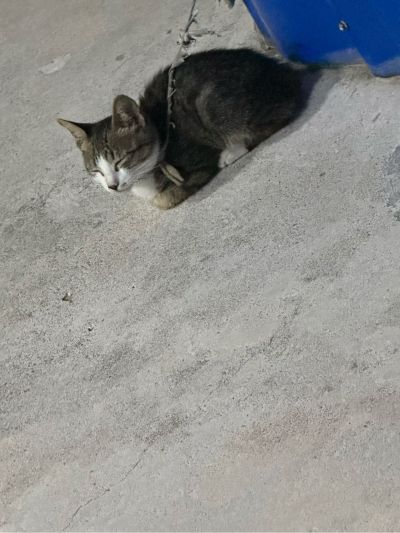 安装