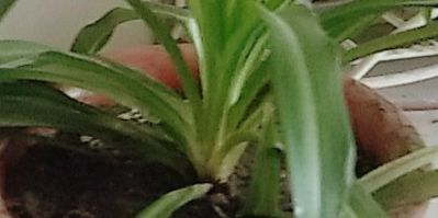 专业清洗地暖。水暖安装维修。13869206212