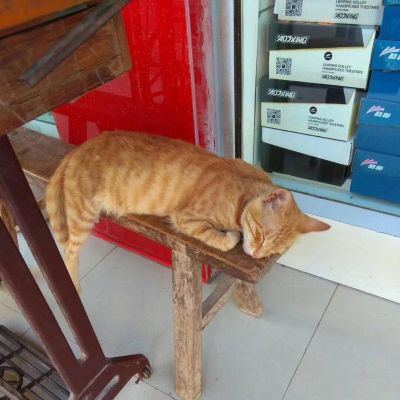 各种搬运装卸
