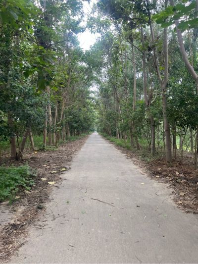 家电清洗