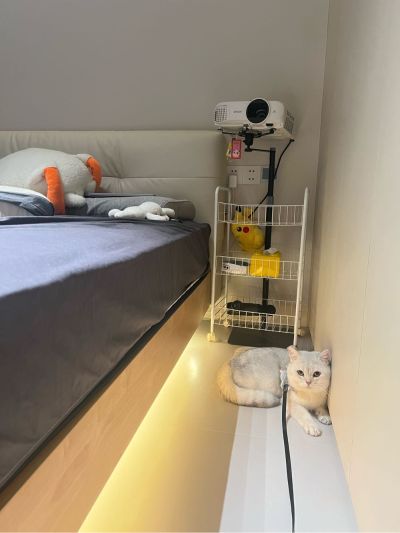 维修安装清洗