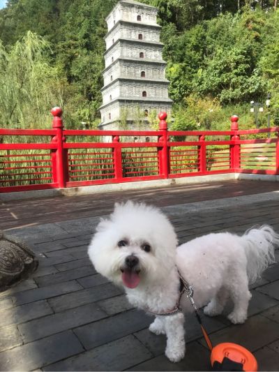 无