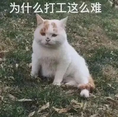 家具