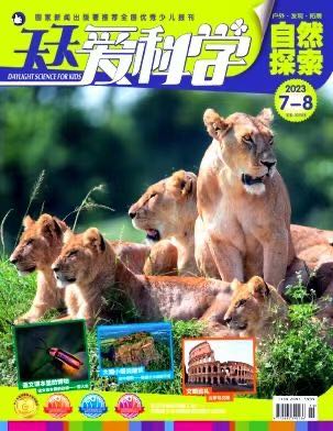 水电家具安装水电暖施工