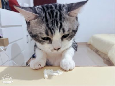 水电