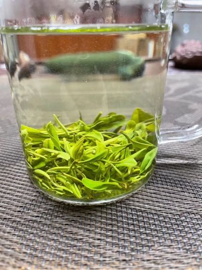 经商