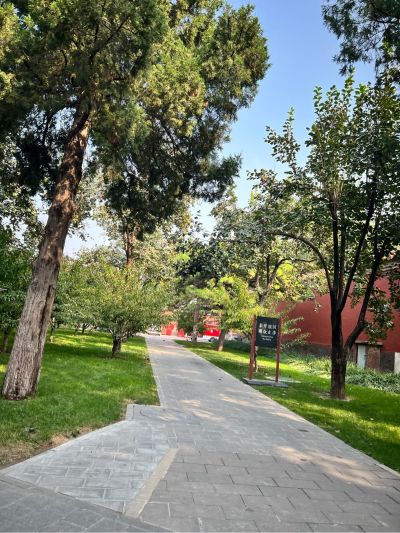 安装投影仪一体灯，具体型号如图， ➕V：f782367434