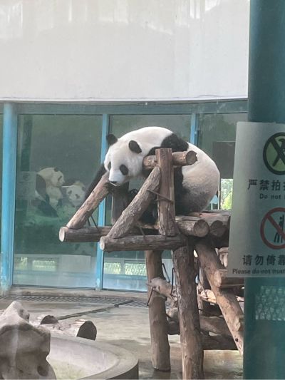 装修工程