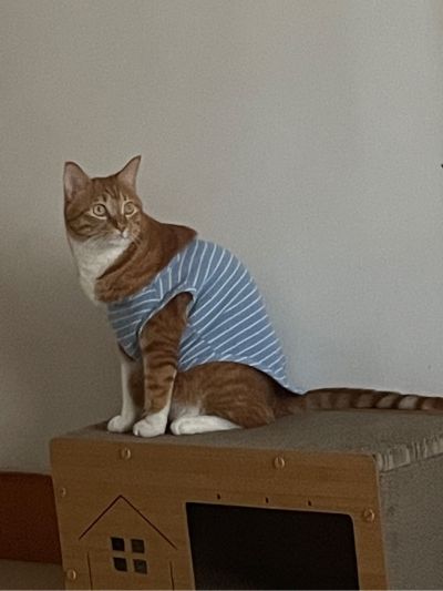 服务业外卖