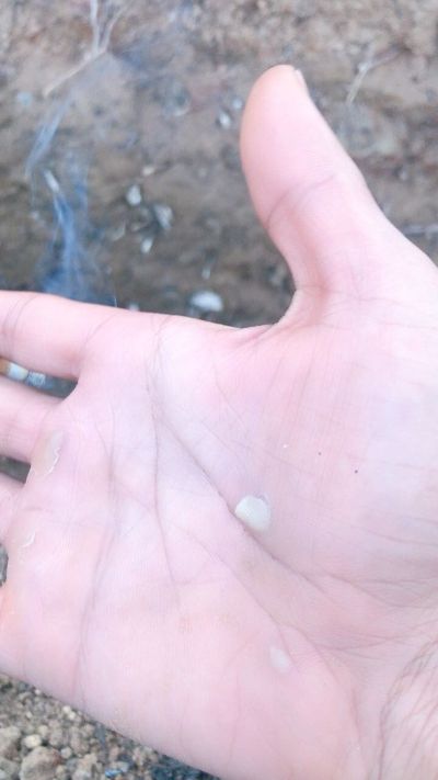 司机师傅搬运