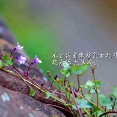 家具