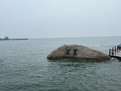 只更换门扇，25个，酒店项目，以及门扇上的五金，门扇上的合页开槽，锁舌片雾进去。