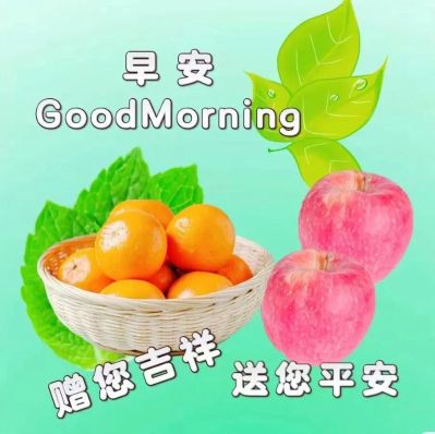 安装一个燃气热水器，材料自购