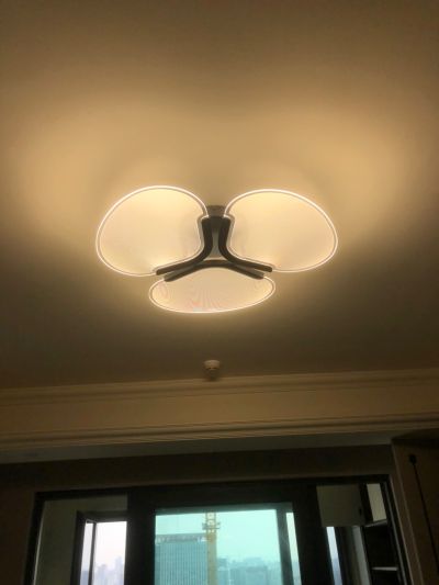 专业安装灯具专业安装灯具