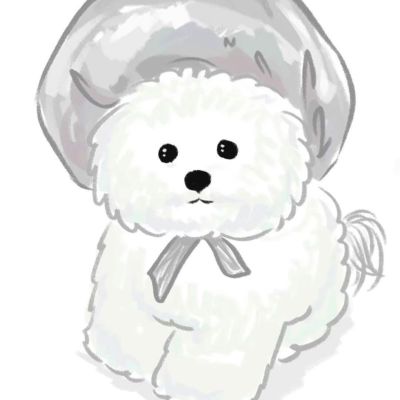 安装