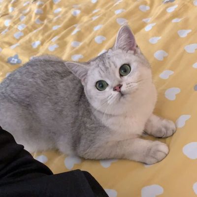 广告安装搬运