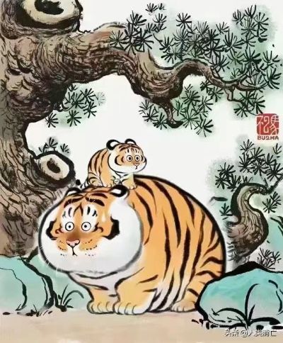 安装